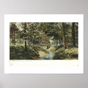 Póster Memphis TN, Overton Park 1905 Inspirado en la anti
