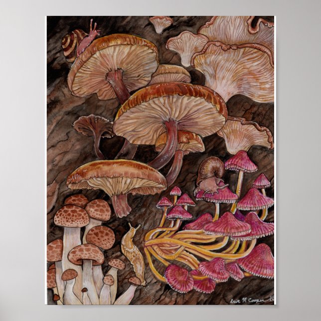 Póster Menagerie of Mushrooms (Frente)