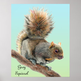 Póster Mens Watercolor Willife Gray Squirrel Watch