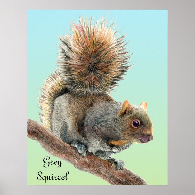 Póster Mens Watercolor Willife Gray Squirrel Watch (Frente)