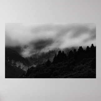Póster Mentira sobre el bosque