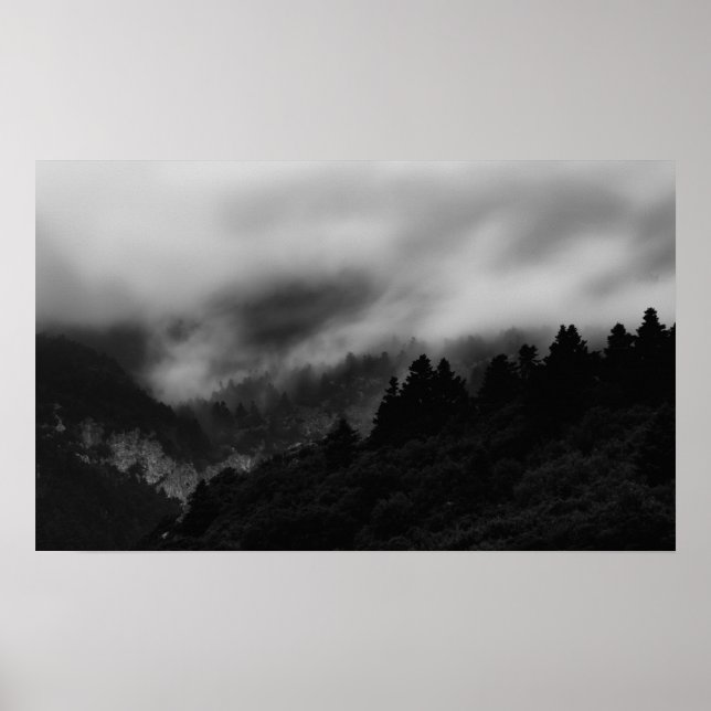 Póster Mentira sobre el bosque (Frente)