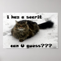 Menudo Maine Coon en la nieve