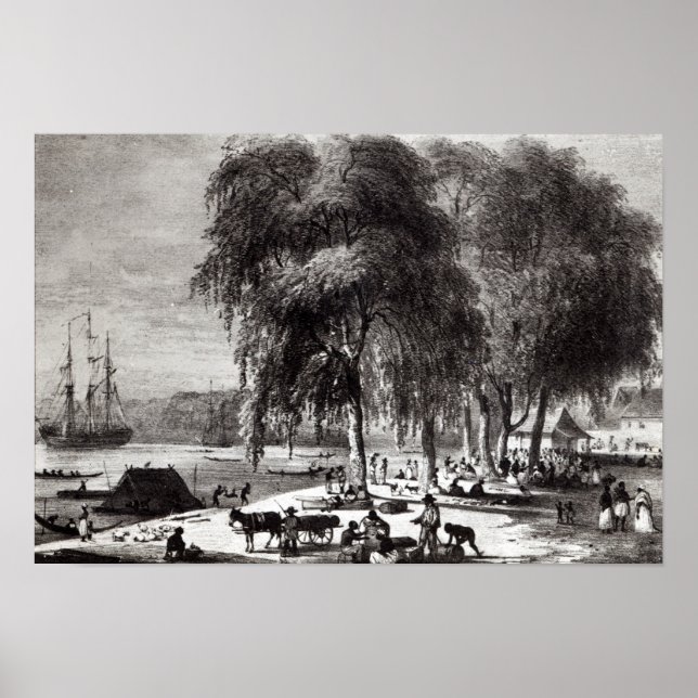 Póster Mercado de pescado, Paramribo (Frente)