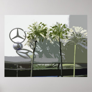 PÓSTER MERCEDES Y AGAPANTHUS