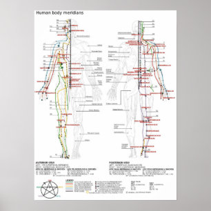 Póster Meridianos del cuerpo humano chino esquemáticos d