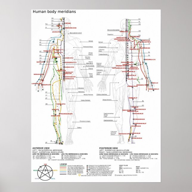 Póster Meridianos del cuerpo humano chino esquemáticos de (Frente)