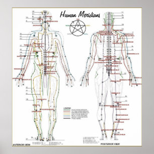 Póster Meridianos humanos y Poster de gráfico de puntos d