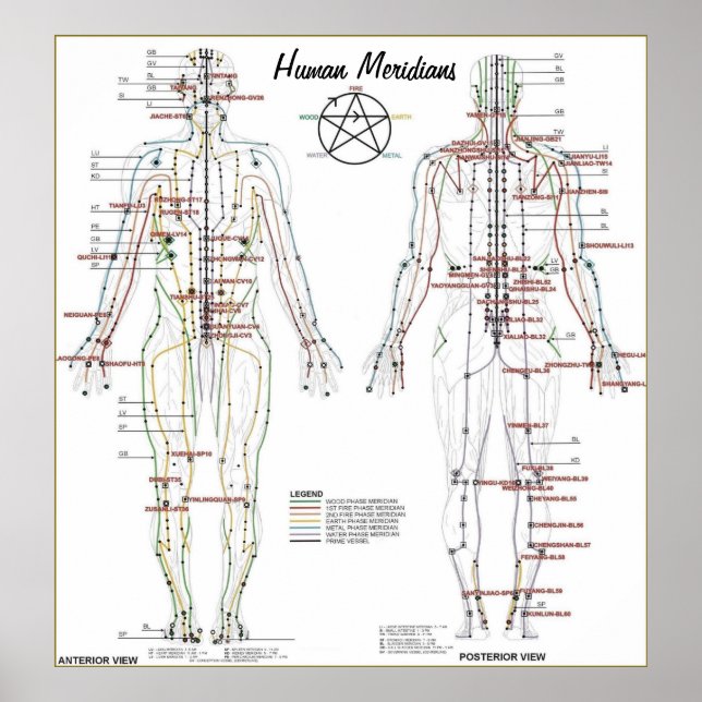 Póster Meridianos humanos y Poster de gráfico de puntos d (Frente)