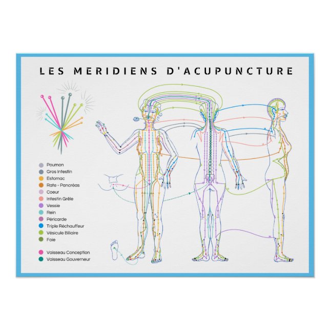 Poster Méridiens d'Acupuncture, médecine chinoise (Anverso)