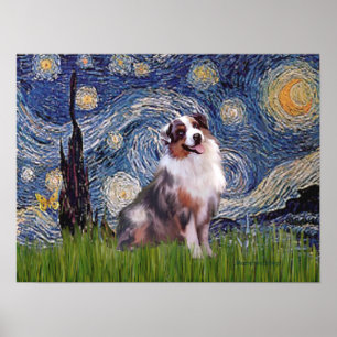 Póster Merle Aussie Shep - Noche estrellada