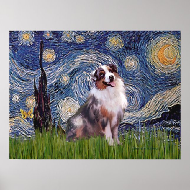 Póster Merle Aussie Shep - Noche estrellada (Frente)