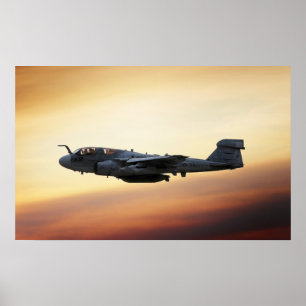 Póster Merodeador de EA-6B