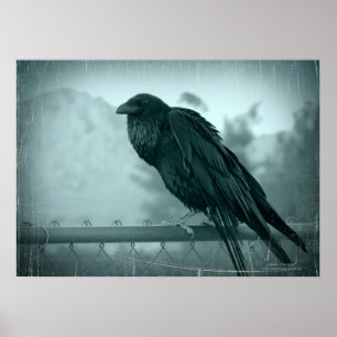 Póster Messenger