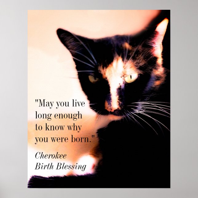 Póster Messenger de Cat (Frente)