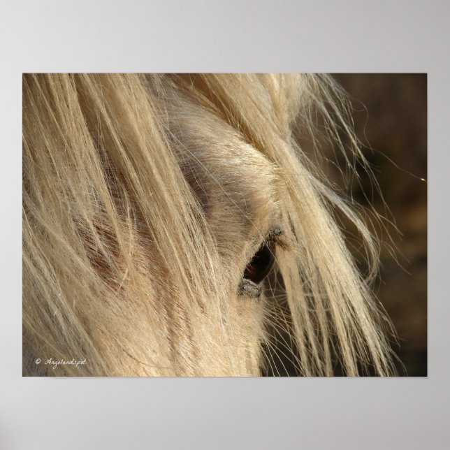 Póster Messy Mane (Frente)