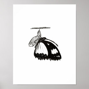Póster Metamorfosis