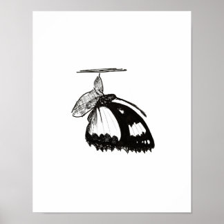 Póster Metamorfosis