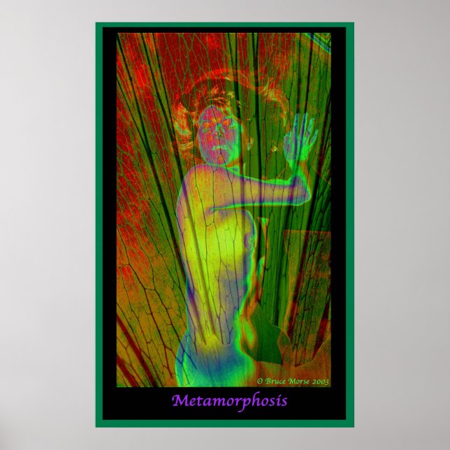Póster Metamorfosis (Frente)