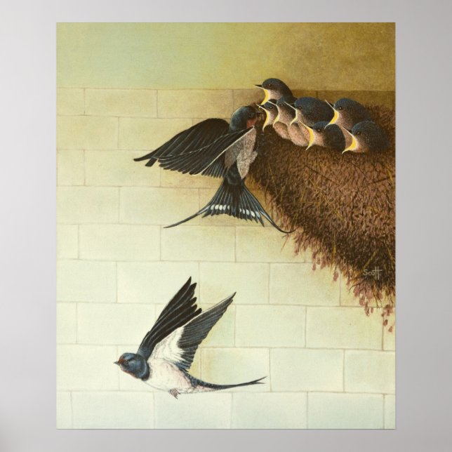 Póster Metas hambrientas 2011 (Frente)