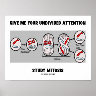 Póster Métete La Mitosis Del Estudio De Atención Sin Divi