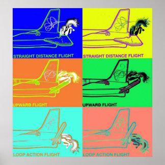 Póster Método De Vuelo