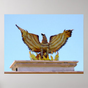 Póster Mexican golden eagle