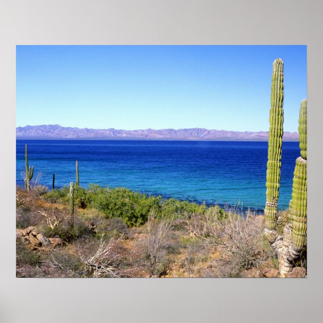 Póster México, Baja California Sur, Mulege, Bahía 2 (Frente)