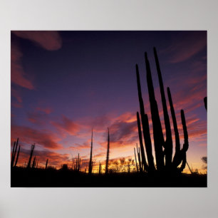 Póster Mexico, Baja del Norte, Catavina Desert National 3