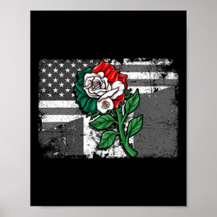 Póster México Bandera Estadounidense Bandera Mexicana Ros