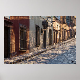 Póster Mexico Cobblestone Street