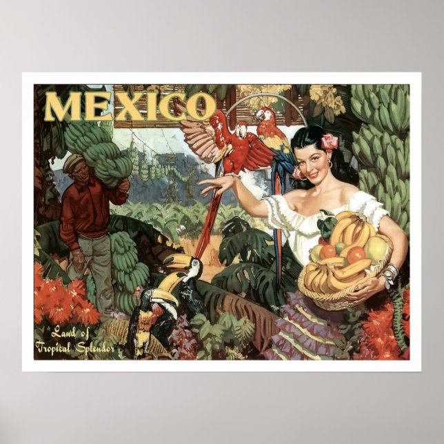 Póster México, mujer con frutas tropicales y loros (Frente)