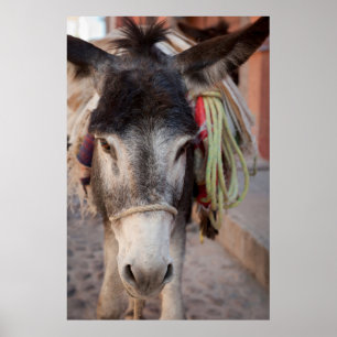 Póster México, San Miguel De Allende