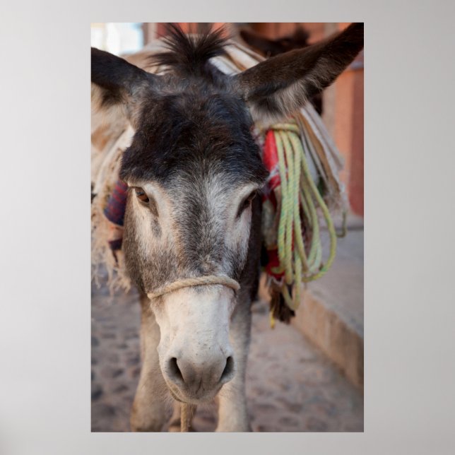 Póster México, San Miguel De Allende (Frente)
