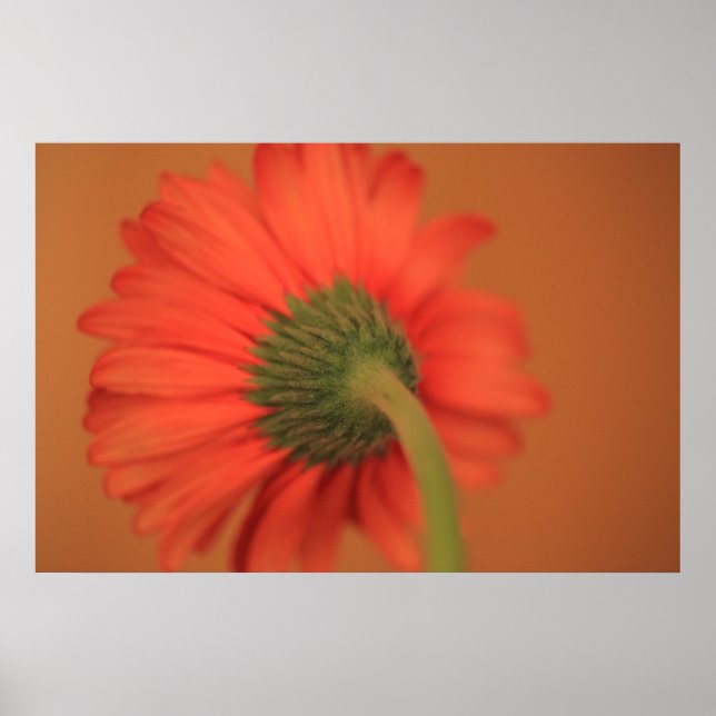 Póster Mezcla (Frente)