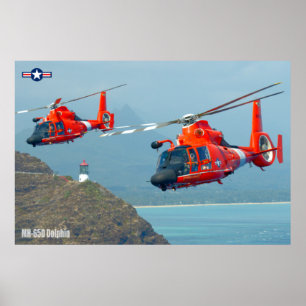 PÓSTER MH-65D DOLFINO