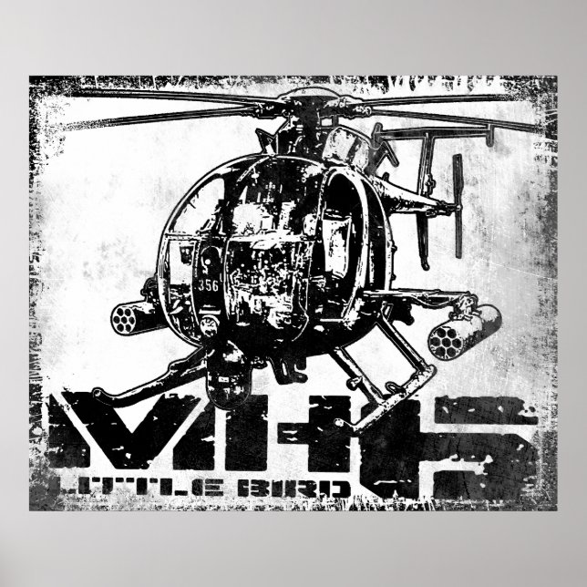 Póster MH-6 Pequeño Poster de aves (Frente)