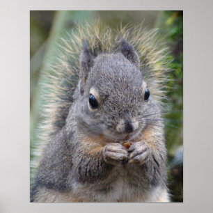 Póster Mi amigo está mareado