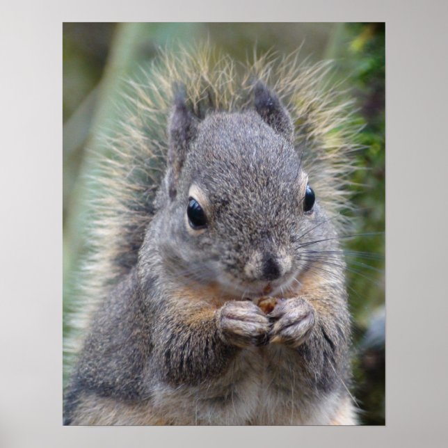 Póster Mi amigo está mareado (Frente)