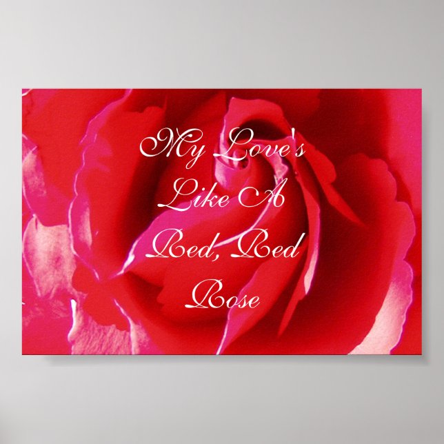 Póster Mi amor es como una rosa roja roja (Frente)