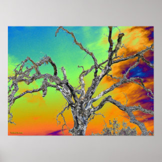 Póster mi árbol psicodélico favorito