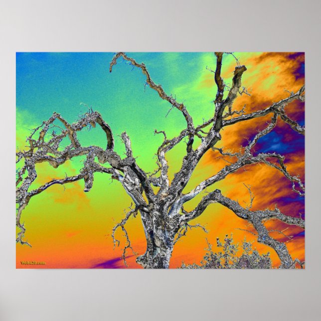 Póster mi árbol psicodélico favorito (Frente)