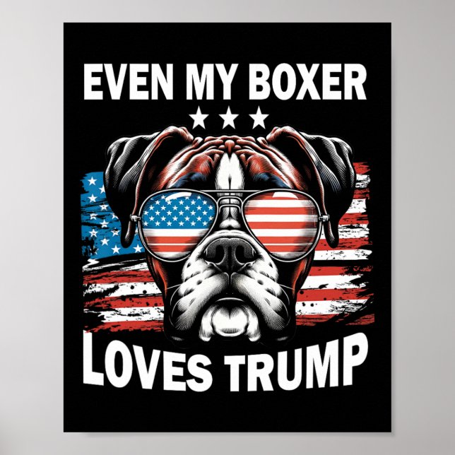 Póster Mi boxeador ama a Trump (Frente)