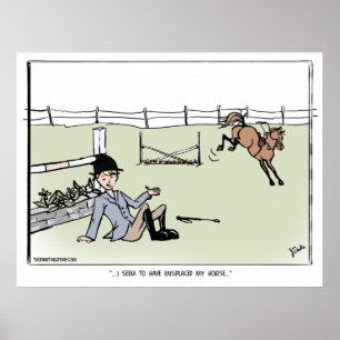 Póster Mi caballo perdido