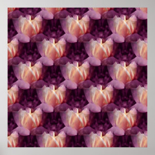 Póster Mi cama Rosa......