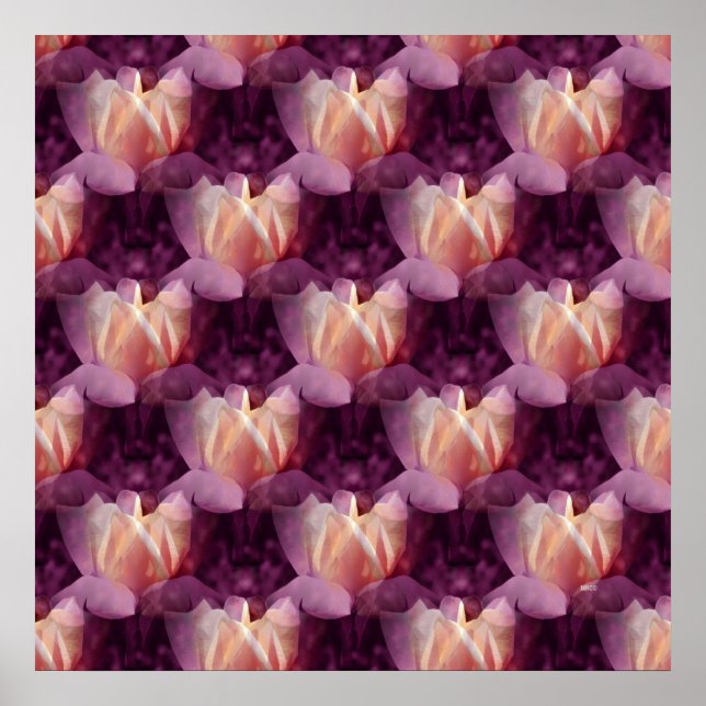 Póster Mi cama Rosa...... (Frente)