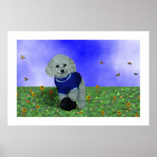 Póster Mi caniche y su bola