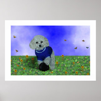 Póster Mi caniche y su pelota.