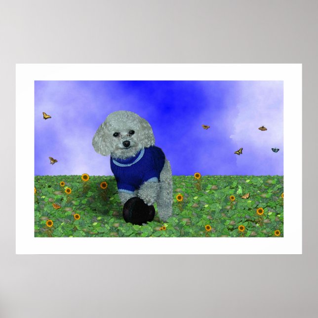 Póster Mi caniche y su pelota. (Frente)