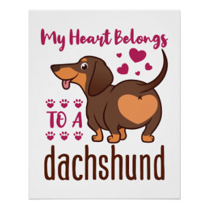 Póster Mi corazón pertenece a un Dachshund